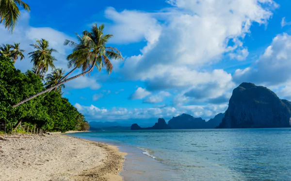 ocean nature palm tree sand tropics Philippines beach HD Desktop Wallpaper | Background Image