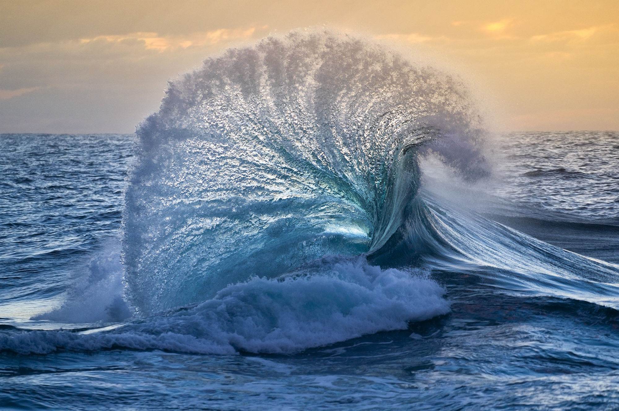 Magnificent Wave by William Patino