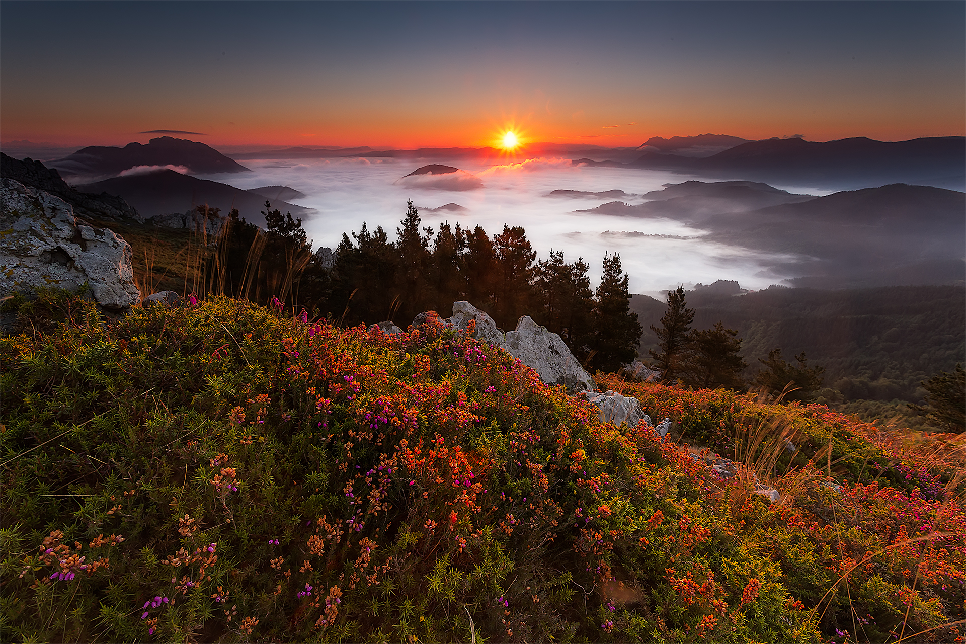 Sunset over Foggy Mountain HD Wallpaper | Background Image | 1920x1280 | ID:738260 - Wallpaper Abyss