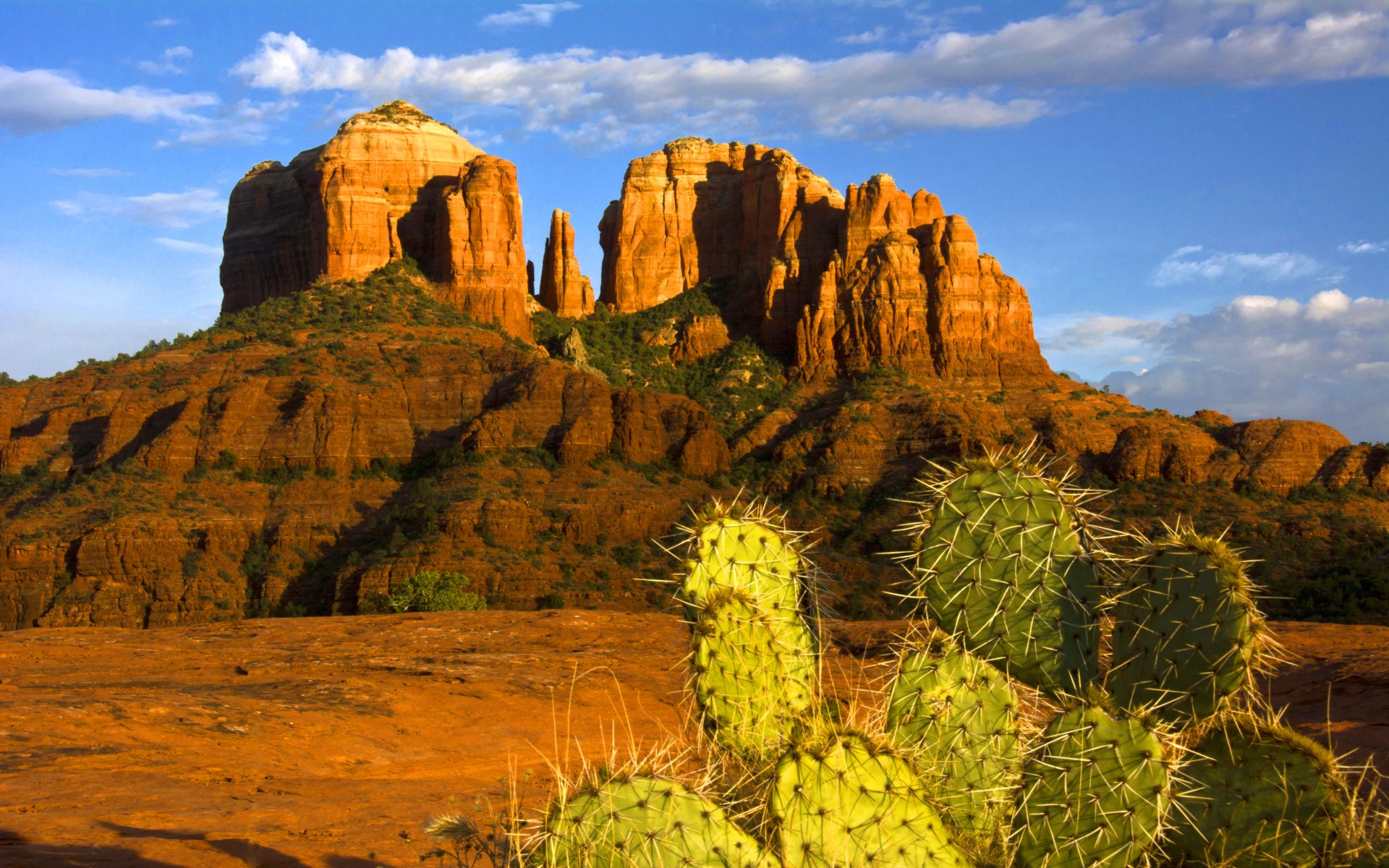 500 Arizona Desert Pictures HD  Download Free Images on Unsplash