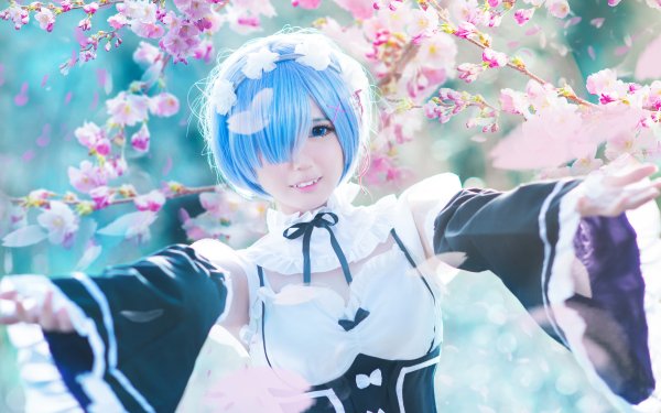 Women Cosplay Rem Re:ZERO -Starting Life in Another World- HD Wallpaper | Background Image