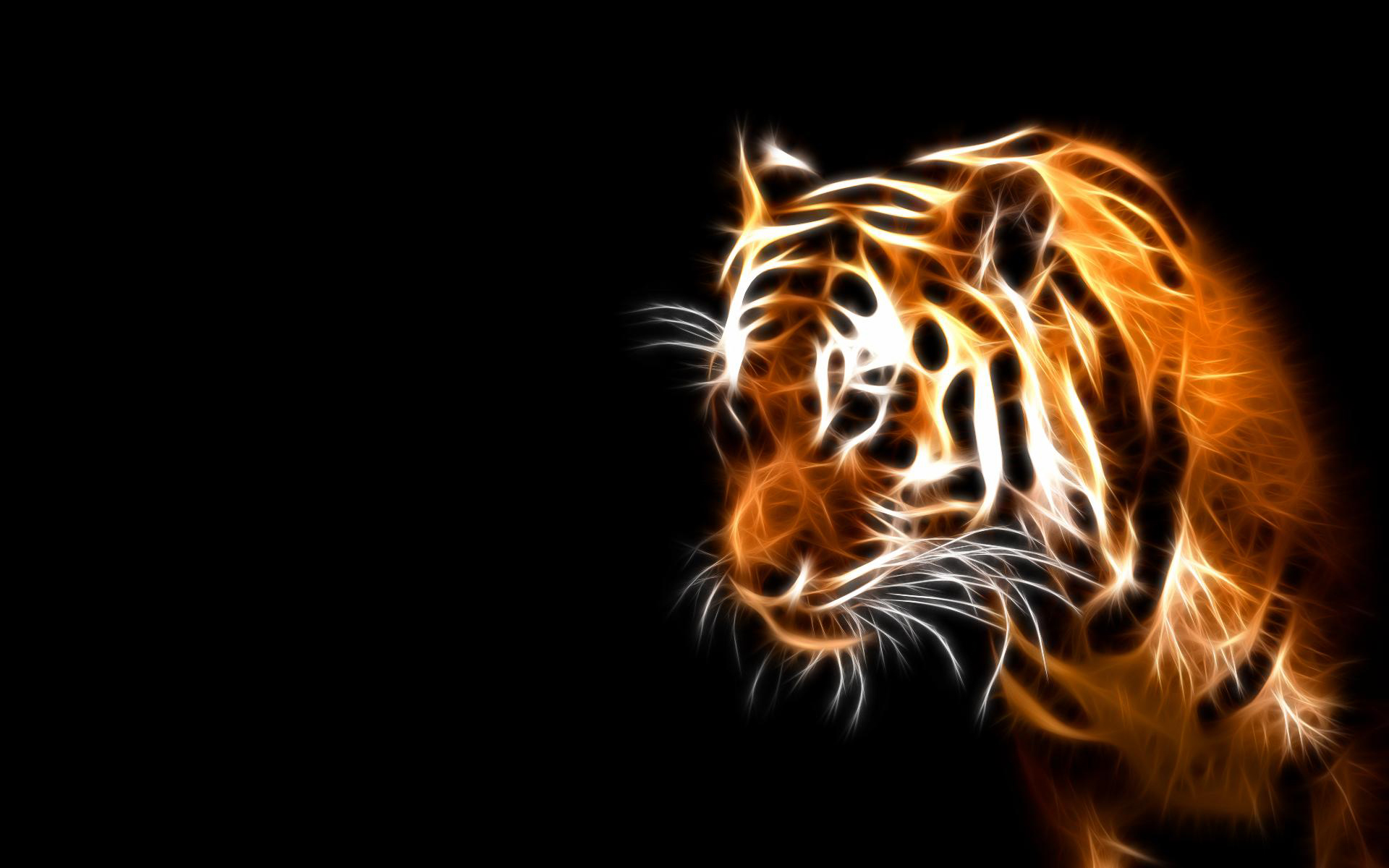 Tiger in HD desktop wallpaper.