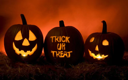  Happy Halloween