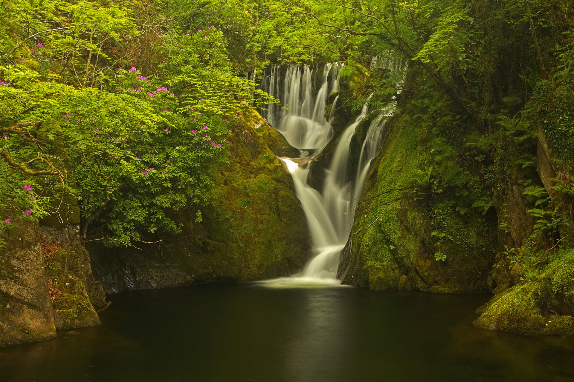 Cascading Waterfall