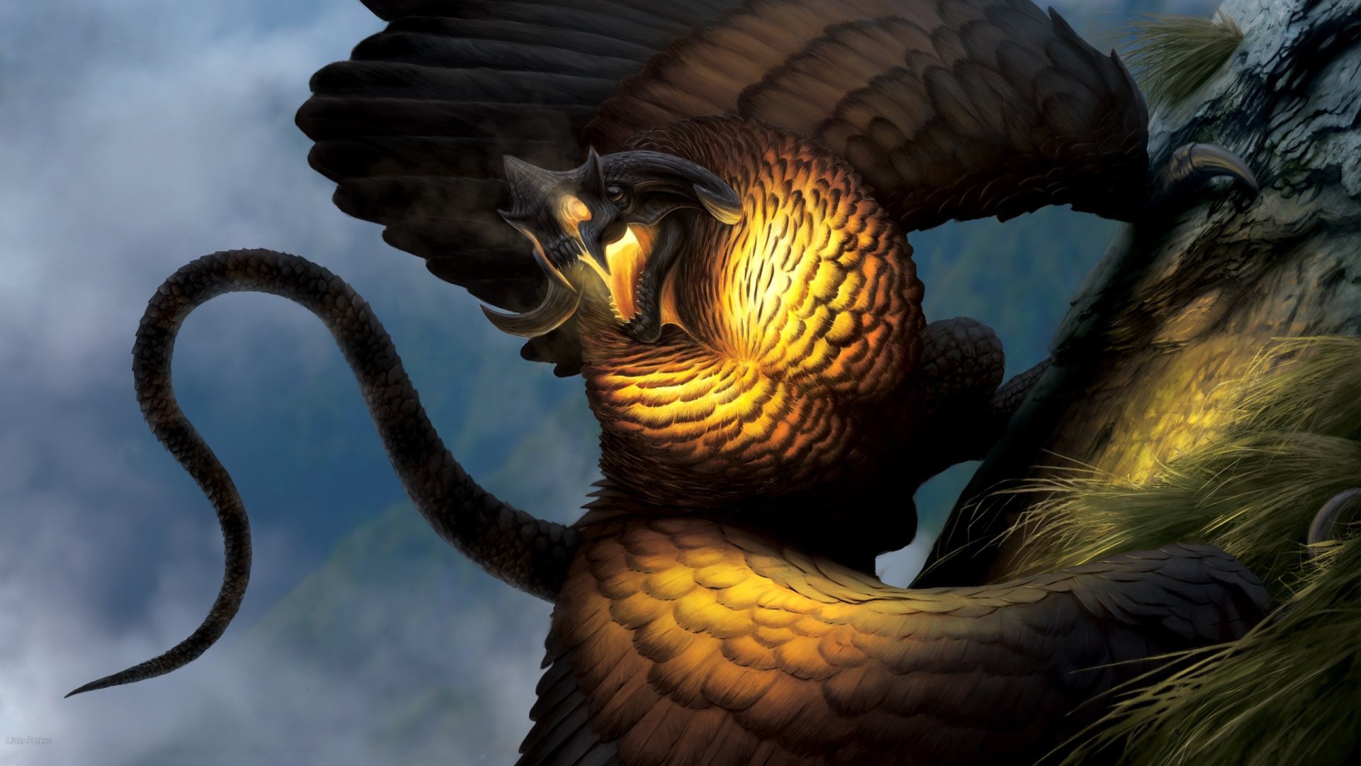 Download Tail Wings Fantasy Creature HD Wallpaper by Liam Peters
