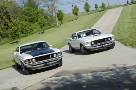Two white 1969 Ford Mustang Boss 429 muscle cars driving on a winding driveway surrounded by green grass and trees, captured in an HD desktop wallpaper.
