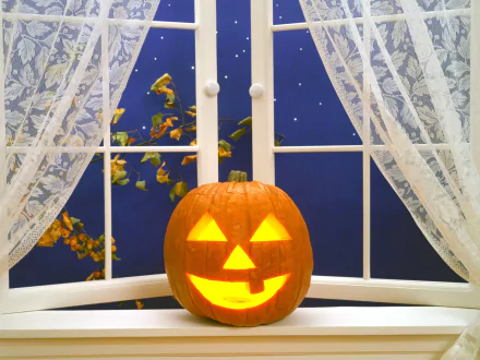  Jack-O-Lantern in the Window