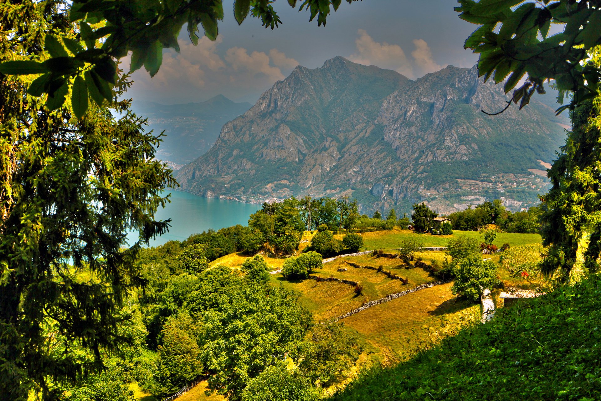 Download Tree Green Lombardy Italy Mountain Nature Landscape HD Wallpaper