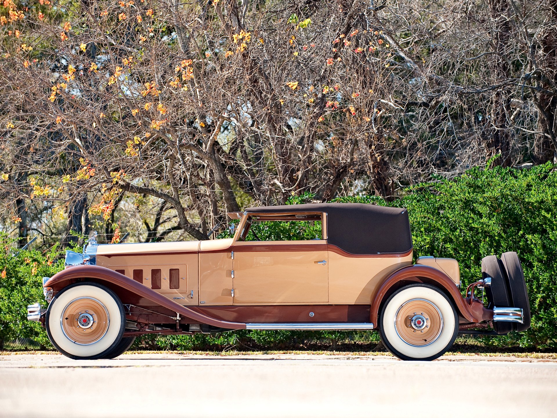 Tan-and-brown 1931 Packard Deluxe Eight Convertible Victoria vintage car, side view against autumn foliage — HD PC desktop wallpaper background.