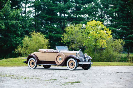  1930 Packard Standard Eight Roadster