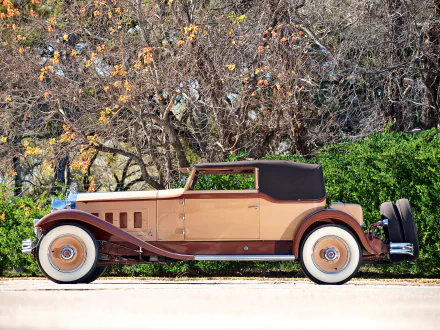Tan-and-brown 1931 Packard Deluxe Eight Convertible Victoria vintage car, side view against autumn foliage — HD PC desktop wallpaper background.