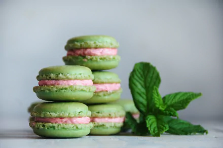 mint sweets food macaron HD Desktop Wallpaper | Background Image