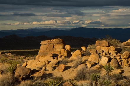  Sunset in Joshua Tree National Park, southern California, America by skeeze