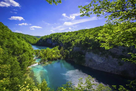 green tree plitvice lake national park nature plitvice lake HD Desktop Wallpaper | Background Image