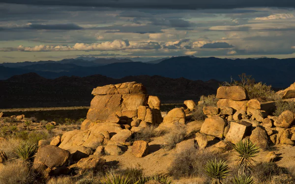  Sunset in Joshua Tree National Park, southern California, America by skeeze