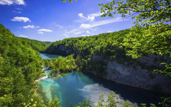green tree plitvice lake national park nature plitvice lake HD Desktop Wallpaper | Background Image