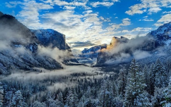 Earth Winter Snow Mountain Landscape Fog Cloud Forest HD Wallpaper | Background Image