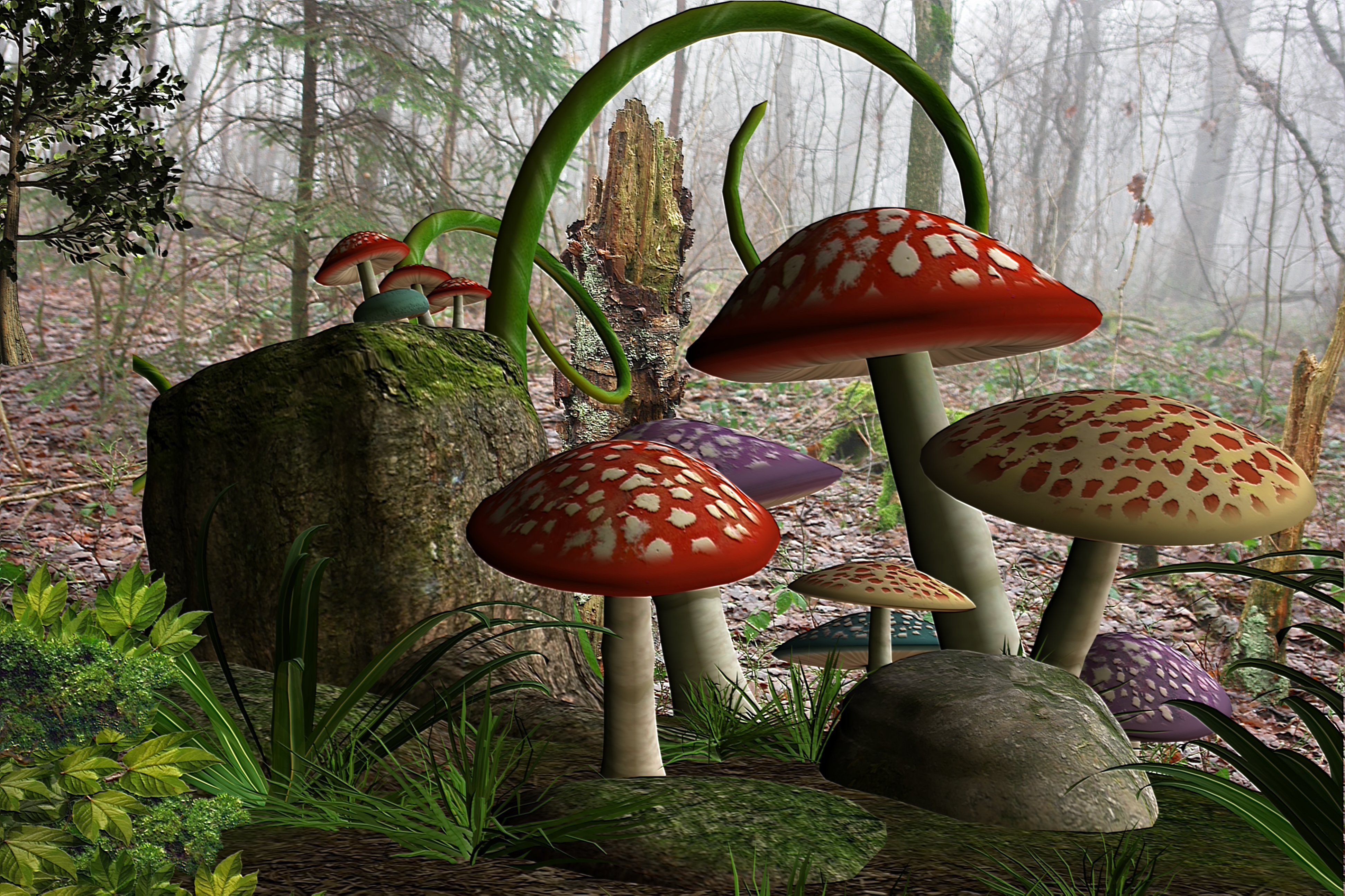 Mushrooms in the Forest 4k Ultra HD Wallpaper | Background  