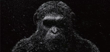 A close-up of a powerful ape against a dark, snowy backdrop, capturing the intense atmosphere of the movie War For The Planet Of The Apes. HD desktop wallpaper.