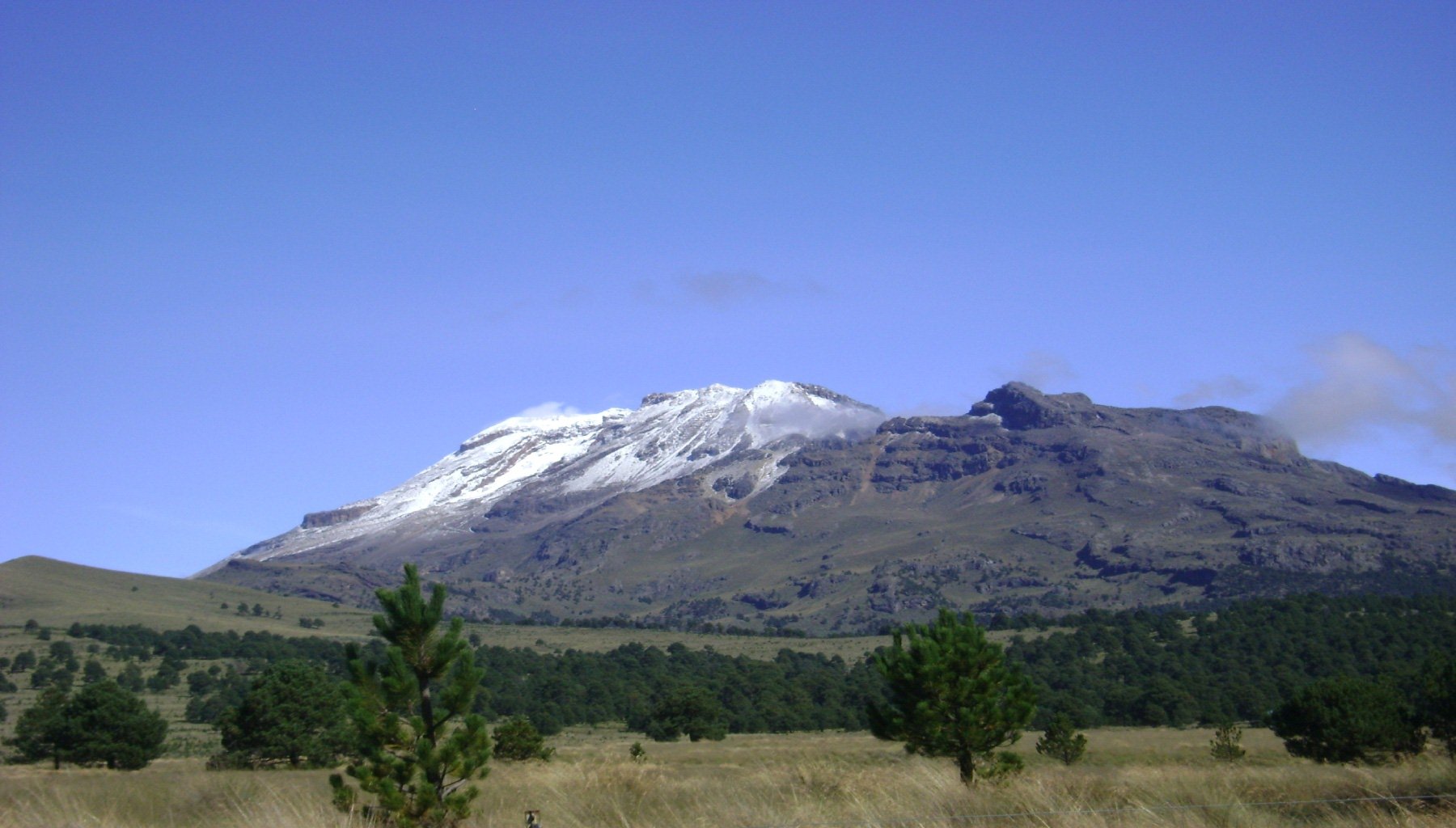 HD desktop wallpaper featuring a clear blue sky over a snow-capped mountain with green trees and open grassland in the foreground, showcasing a peaceful nature landscape.