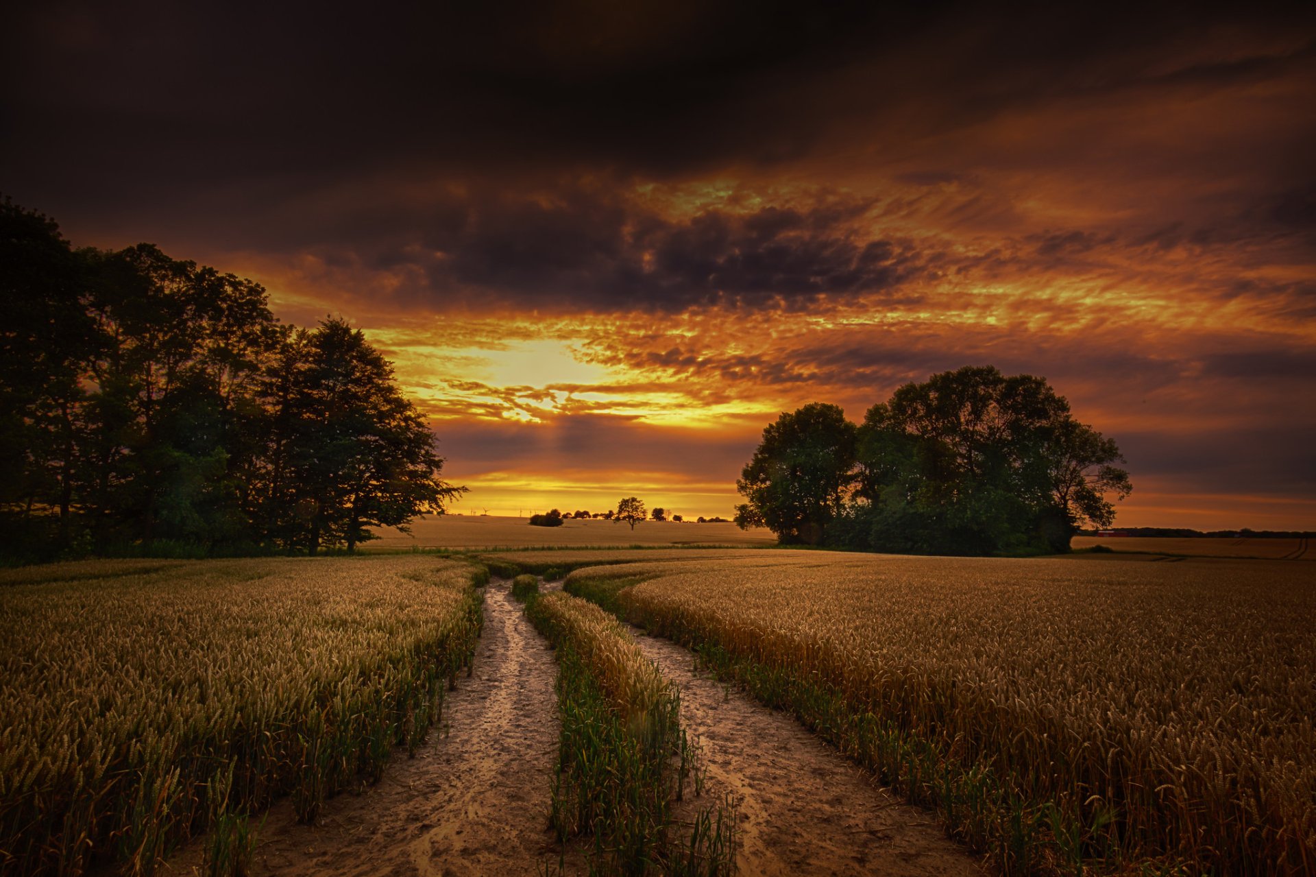 Download Dirt Road Sunset Horizon Nature Summer Field Wheat HD Wallpaper by radonracer