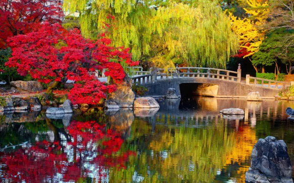 Vibrant fall colors reflect on the water in a serene Japanese garden, featuring a stone bridge and lush trees, captured in HD for a desktop wallpaper.