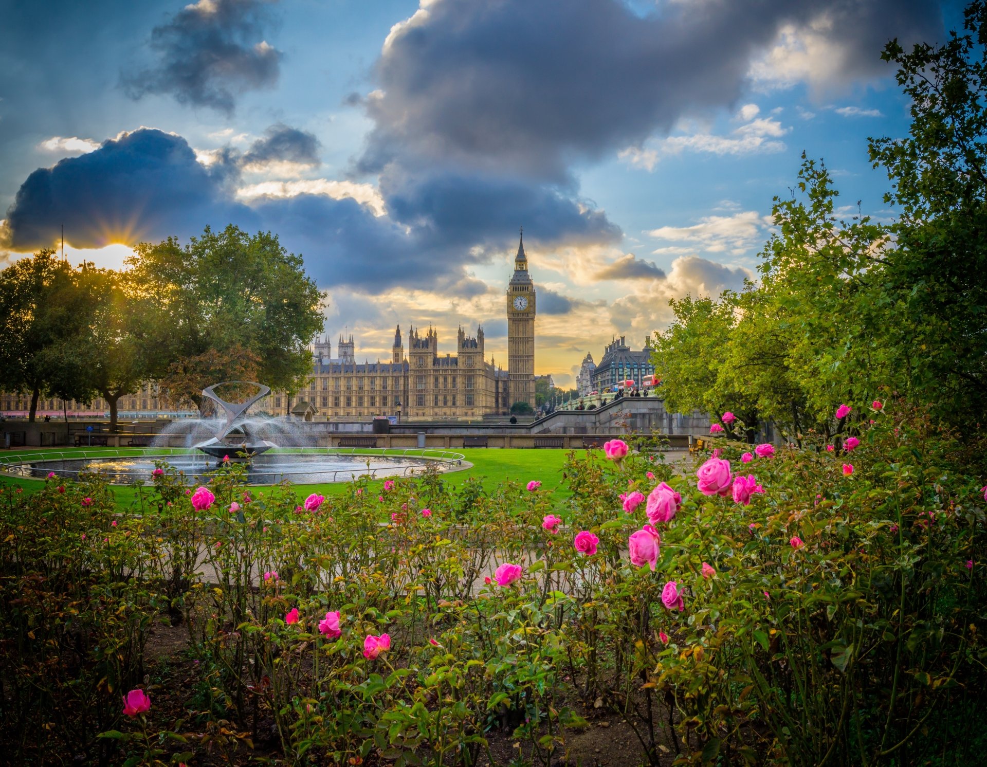 Vibrant park with blooming roses, a fountain, and the Palace of Westminster featuring Big Ben under a dramatic sky in London, England.