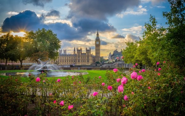 Man Made Palace Of Westminster Palaces United Kingdom England Fountain Big Ben Rose London Park HD Wallpaper | Background Image