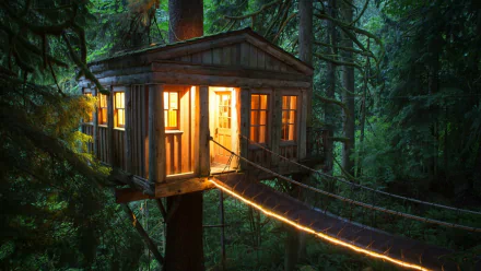 Download Treehouse Man Made House Image