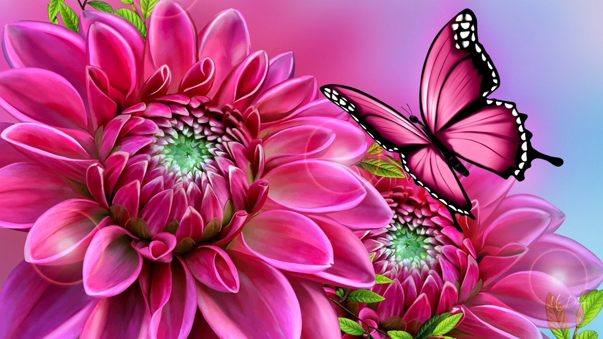 Dahlia And Butterfly By Madonna