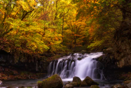  Autumn Forest Waterfall by Agustin Rafael Reyes
