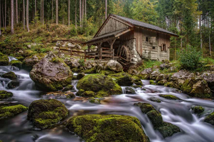 A serene HD desktop wallpaper featuring a moss-covered stream flowing past a rustic man-made watermill nestled in a lush forest.