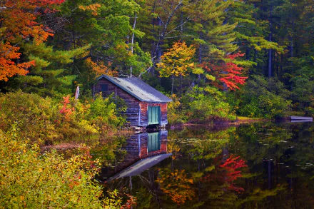  Cabin on Autumn Lake
