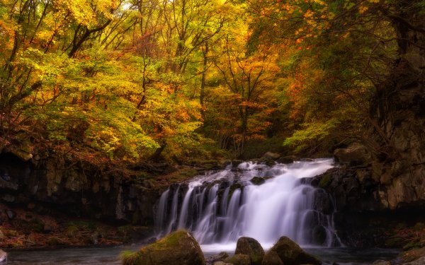Earth Waterfall Waterfalls Forest Fall HD Wallpaper | Background Image