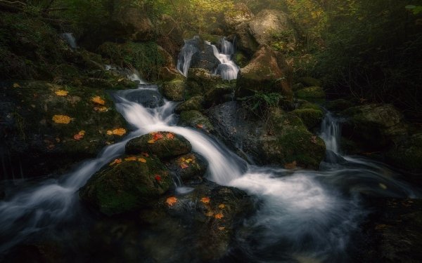 Earth Stream Nature HD Wallpaper | Background Image