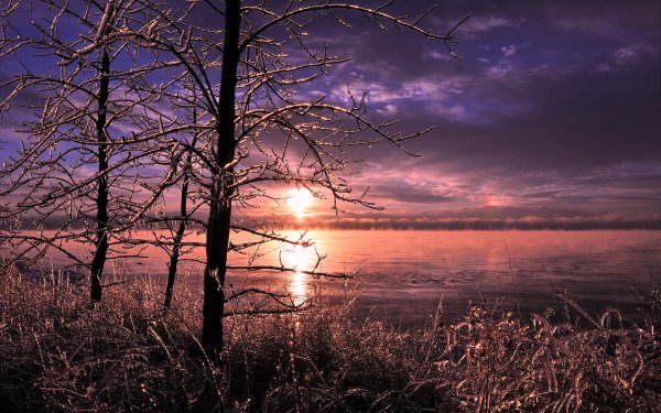 Earth Winter Lake Sunset Tree Ice HD Wallpaper | Background Image