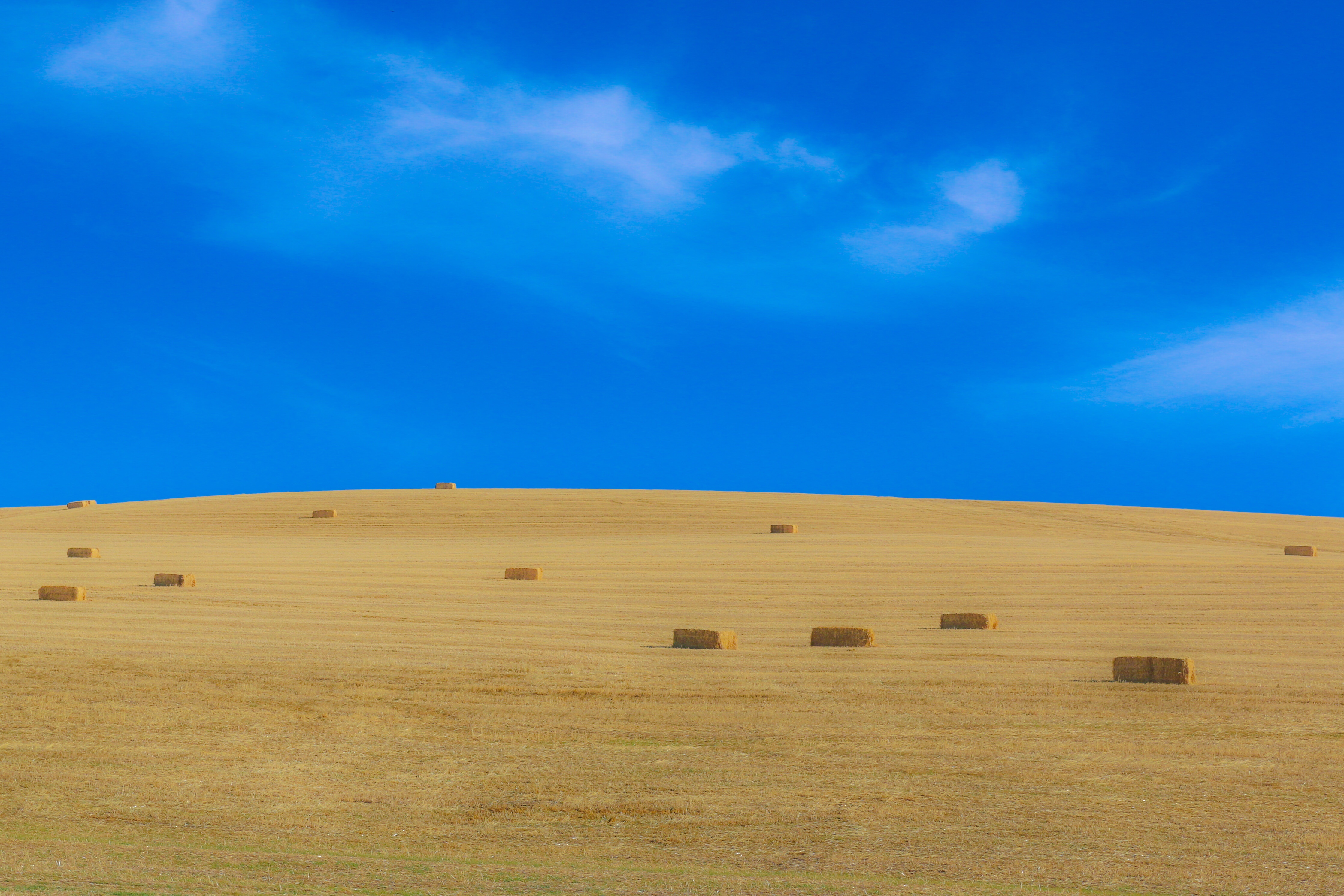 Field 4k Ultra HD Wallpaper