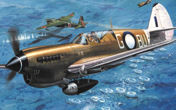 Military Curtiss P-40 Warhawk Military Aircraft Aircraft Warplane HD Wallpaper | Background Image