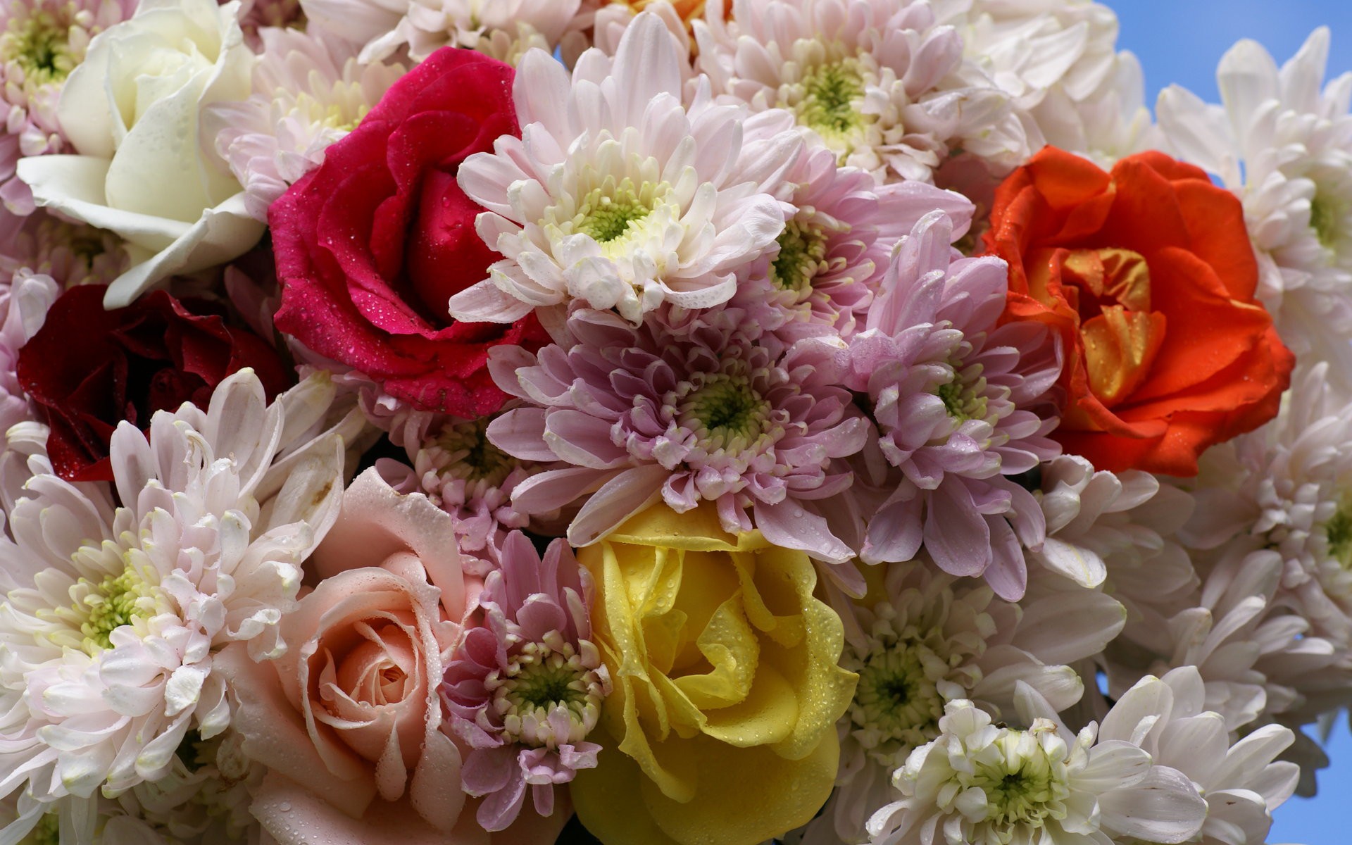 Поздравление хризантемы. Розы пионы хризантемы. Красивый букет цветов. Шикарные цветы. Самые красивые цветы букеты.