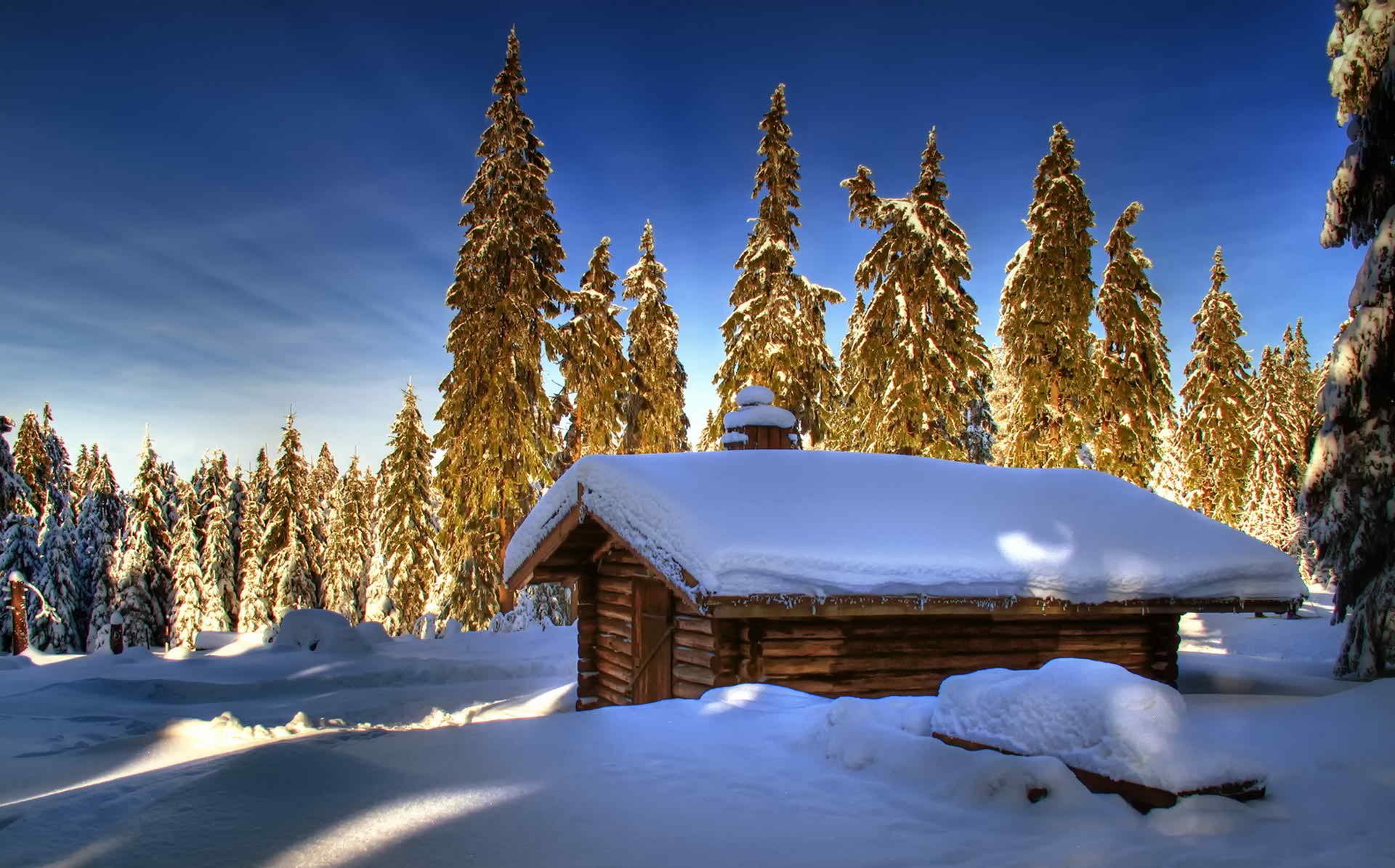 Download Forest Tree Snow Winter Man Made Cabin HD Wallpaper