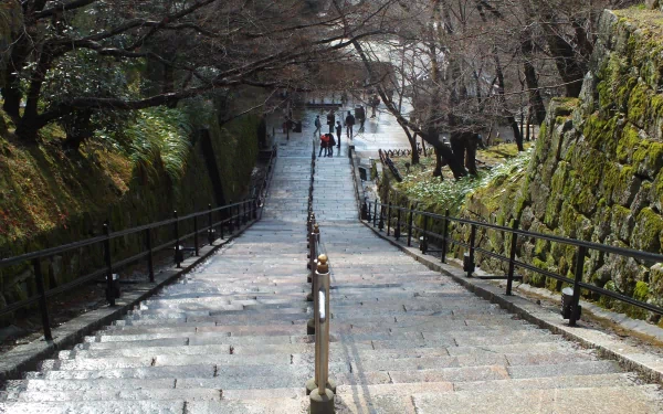 A serene view of stone stairs winding downwards, flanked by lush greenery and trees, captures the beauty of a man-made pathway in this HD desktop wallpaper.