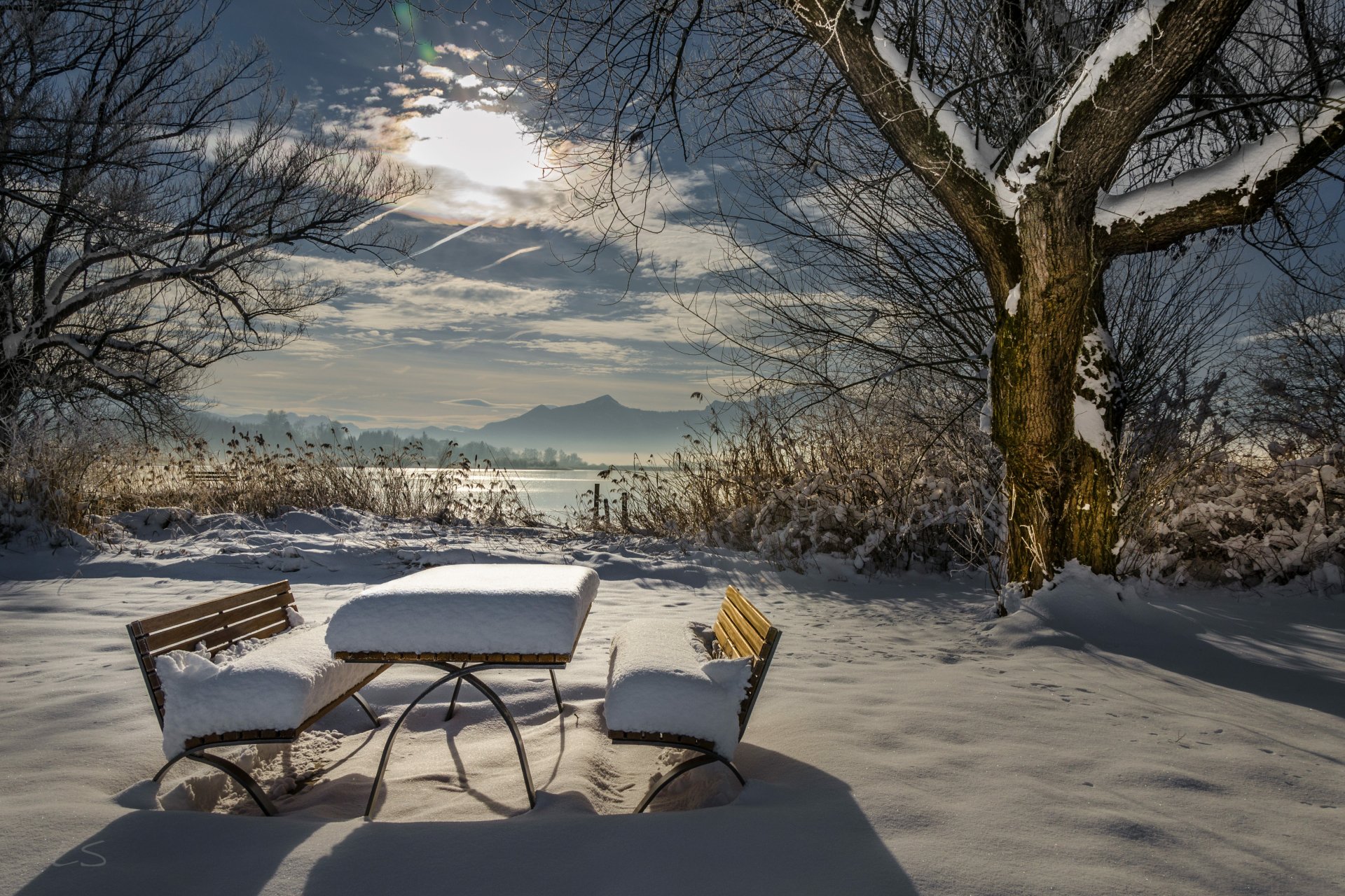 A snowy picnic table and benches under bare trees in a serene winter landscape, captured in stunning 4K Ultra HD photography for PC desktop wallpaper.