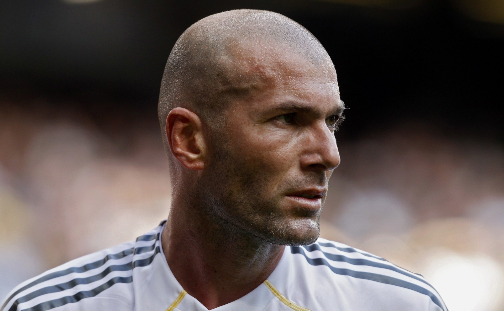 Close-up HD wallpaper of French soccer legend Zinedine Zidane in a white jersey, highlighting his focused expression during a match.