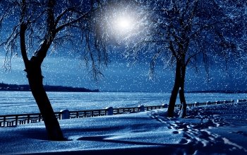 10+ Snowy Winter Night 高清壁纸 桌面背景