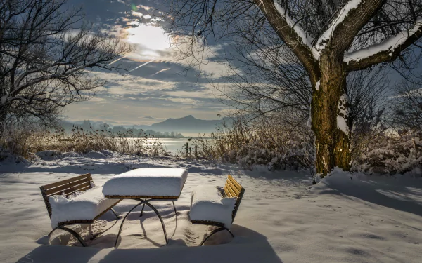 snow picnic table tree earth photography winter HD Desktop Wallpaper | Background Image