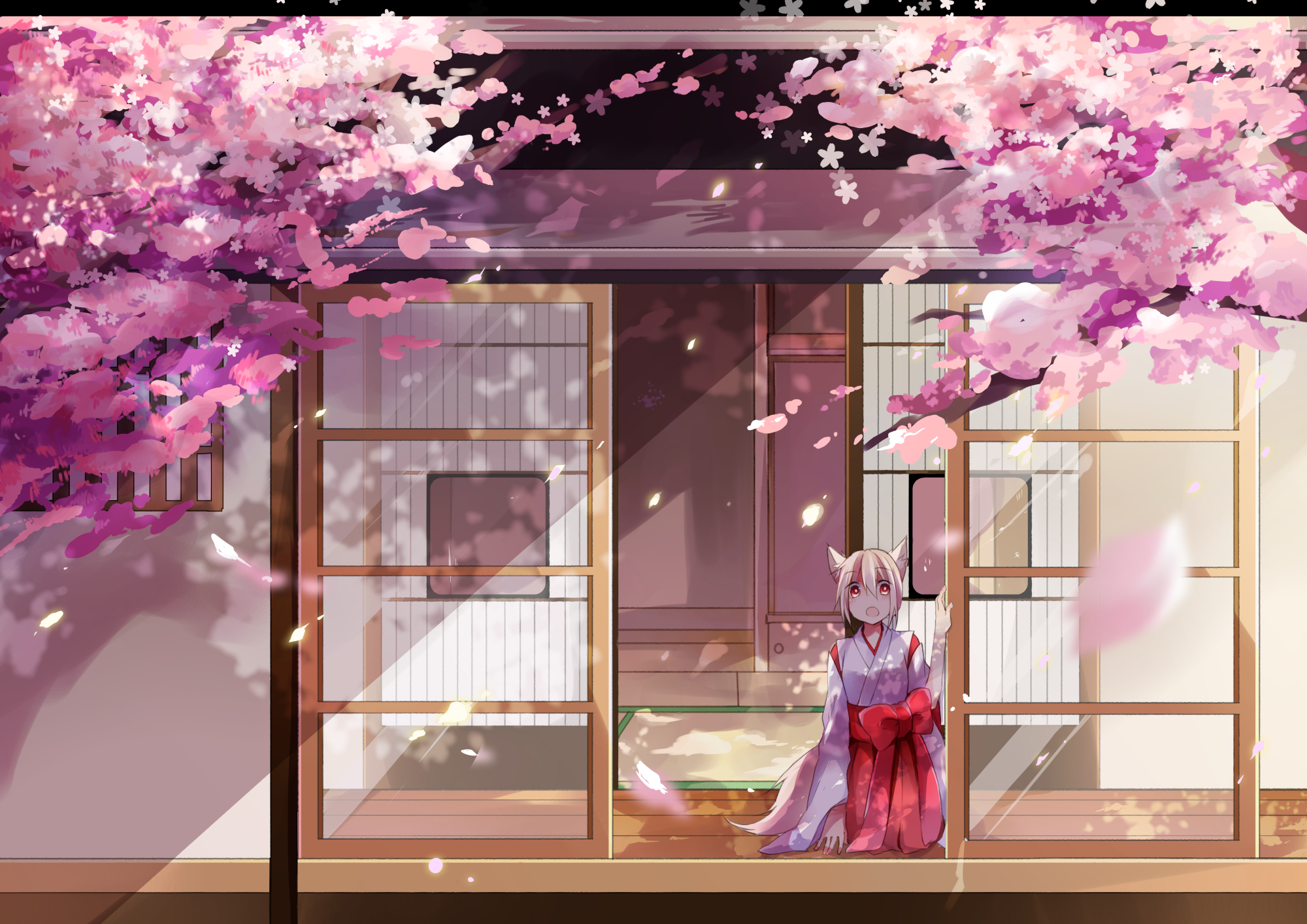 410+ Cherry Blossom HD Wallpapers and Backgrounds