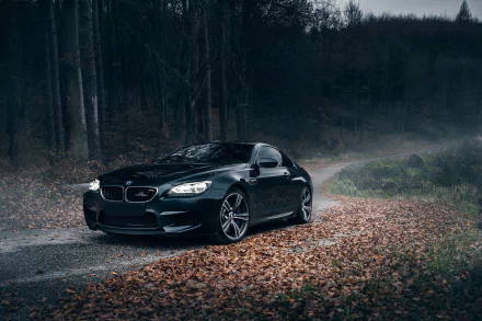 A sleek black BMW M6 parked on a forested path covered in autumn leaves, surrounded by misty woods, creating a striking HD desktop wallpaper.