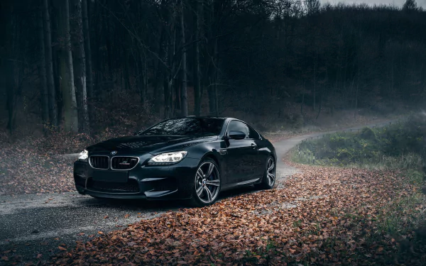 A sleek black BMW M6 parked on a forested path covered in autumn leaves, surrounded by misty woods, creating a striking HD desktop wallpaper.
