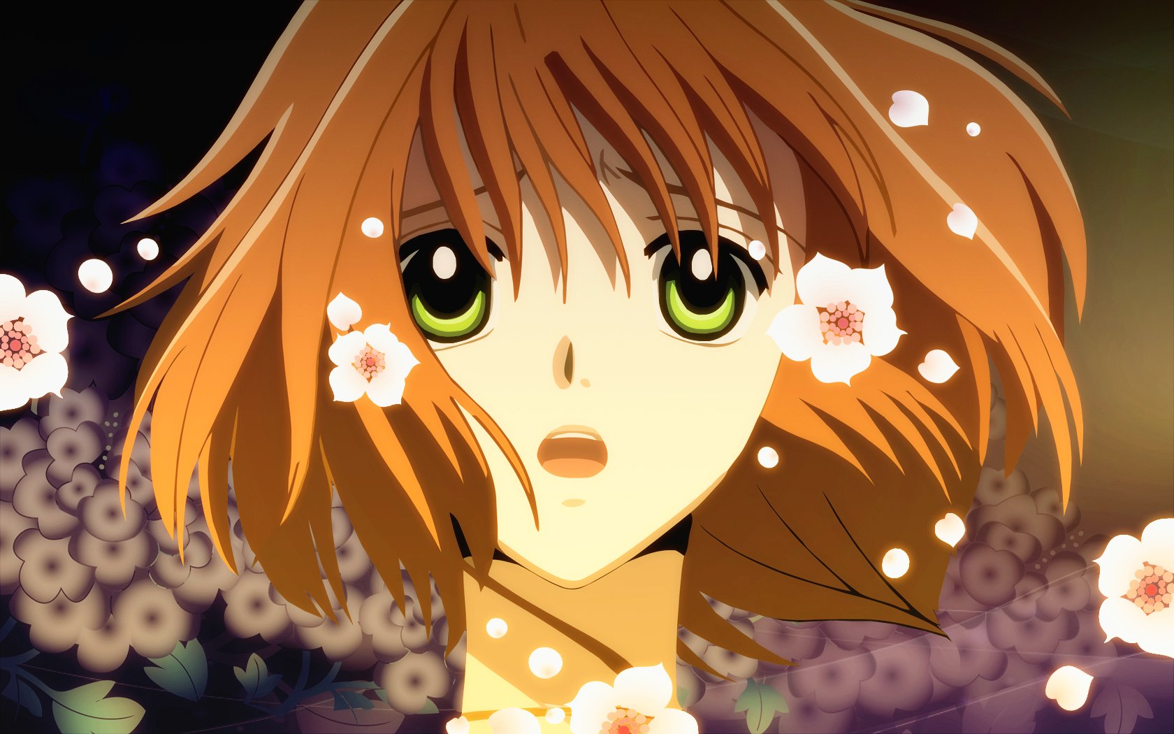 HD anime desktop wallpaper featuring a close-up of a surprised character from Tsubasa: Reservoir Chronicle with flowing hair and floating cherry blossoms.