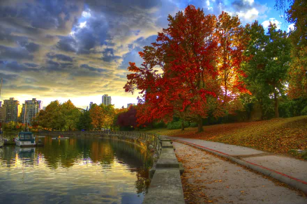  Beautiful Colour's of Fall in Stanley Park, Vancouver by Onur Kurtic